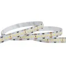 Noxion Rubans LED Naga 5 Mètre IP20 SMD2835/240 24V 16W/m 965 /10mm/2m + DC Câble